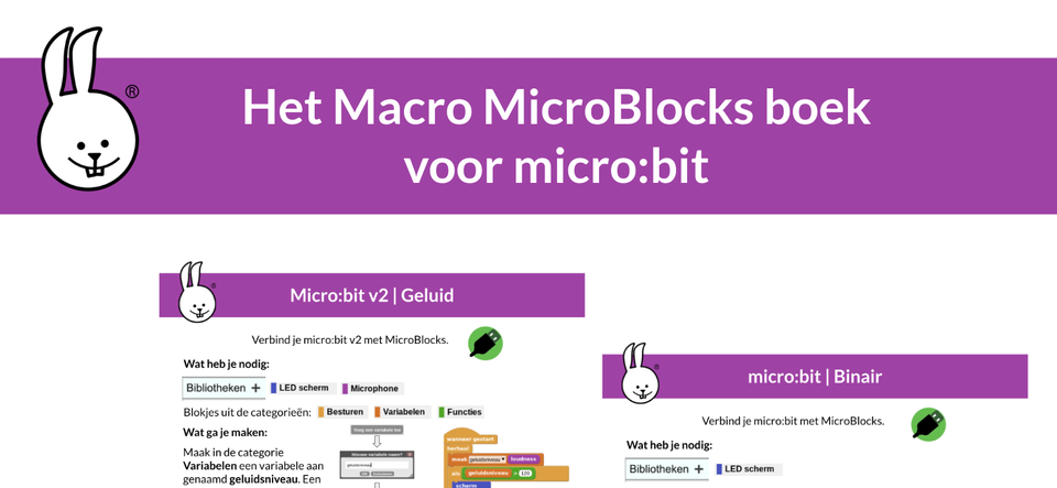Het Macro MicroBlocks boek